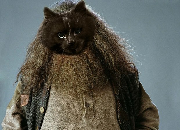 İnternetin yeni fenomeni