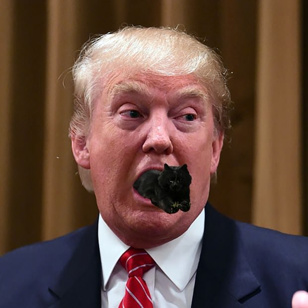 İnternetin yeni fenomeni