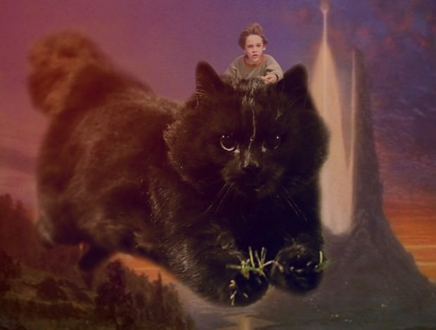 İnternetin yeni fenomeni