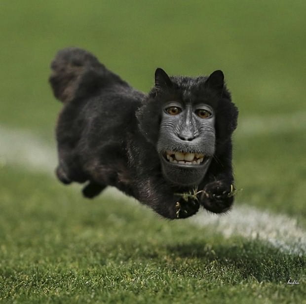 İnternetin yeni fenomeni