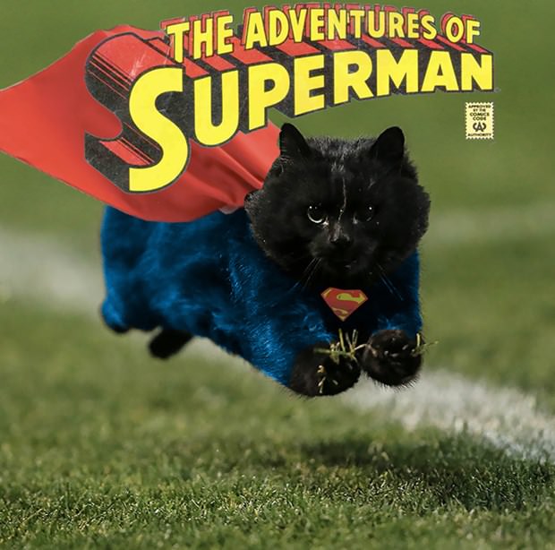 İnternetin yeni fenomeni