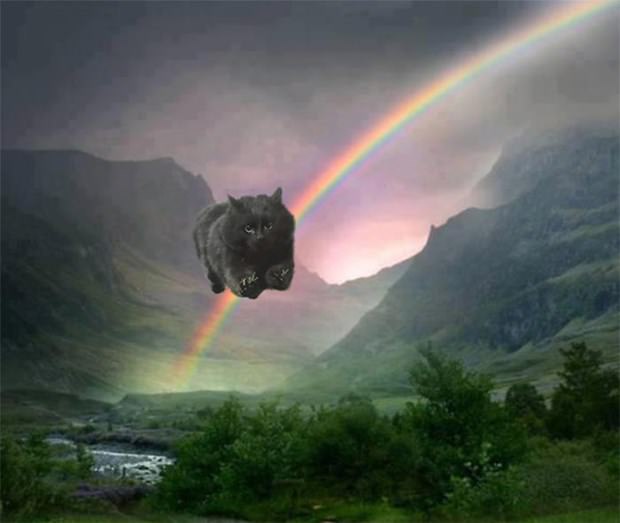 İnternetin yeni fenomeni