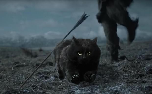 İnternetin yeni fenomeni