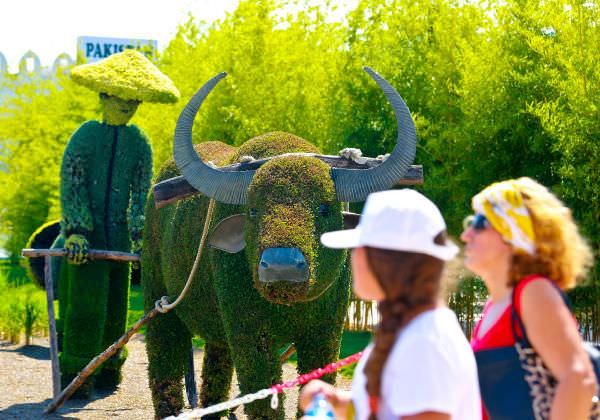 Bitki heykellere yoğun ilgi