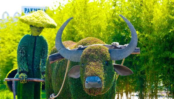 Bitki heykellere yoğun ilgi