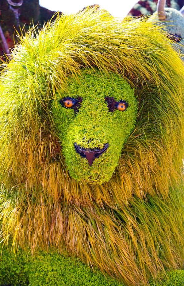 Bitki heykellere yoğun ilgi