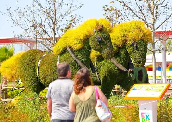 Bitki heykellere yoğun ilgi