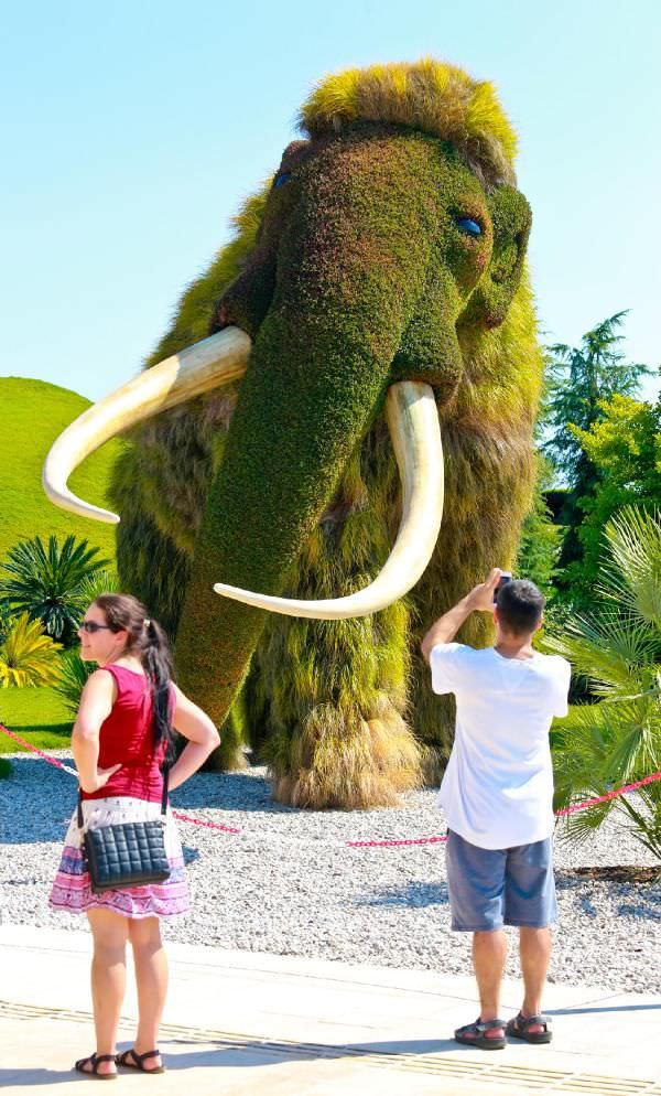 Bitki heykellere yoğun ilgi