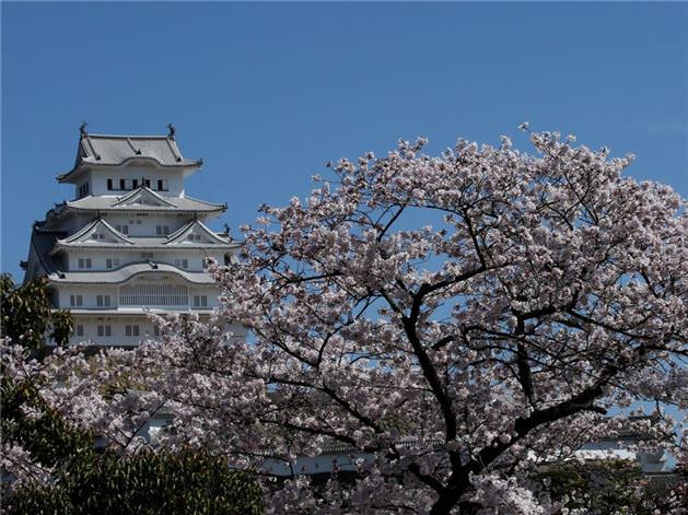 Görülmesi gereken ünlü yapılar