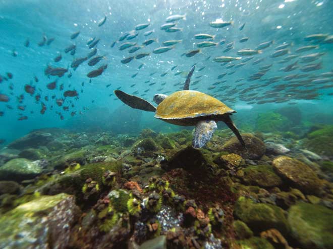 Tercih etmeniz gereken saatler