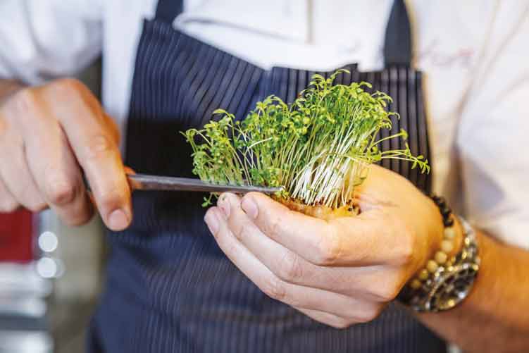 Yemek konusunda ezberleri bozuyoruz
