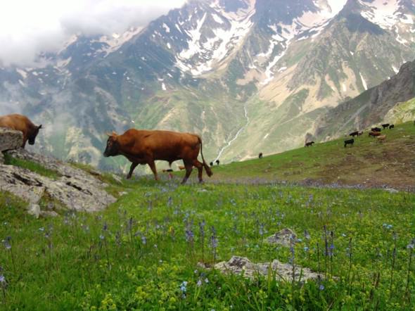 Türkiye’nin en huzurlu 10 yeri