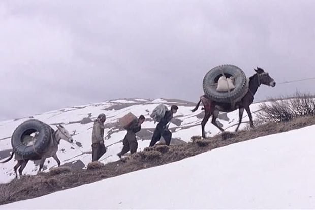 Mutlaka izlemeniz gereken 50 kült film