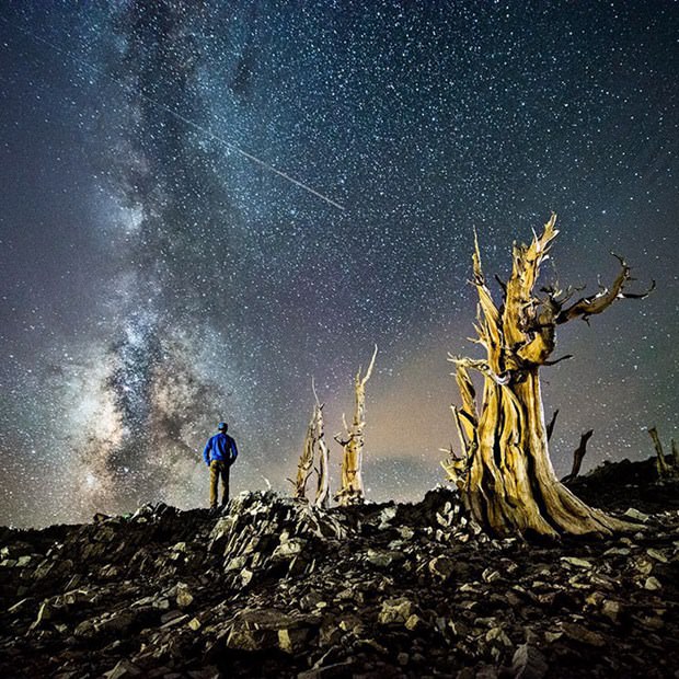 29 yaşında dünya turu!