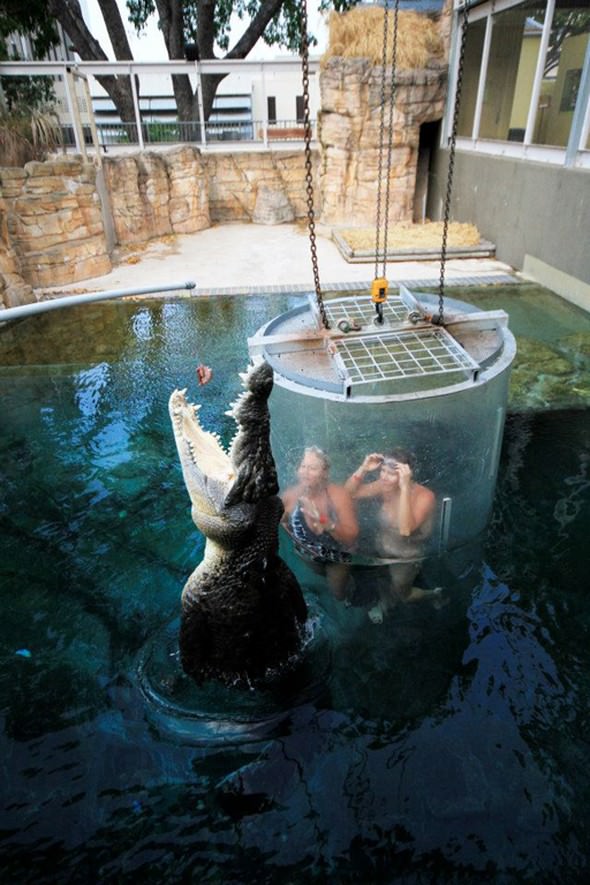 Adrenalin tutkunlarının son gözdesi ‘Ölüm Kafesi’