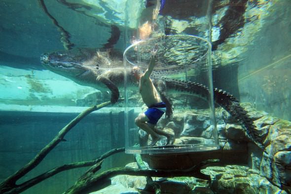 Adrenalin tutkunlarının son gözdesi ‘Ölüm Kafesi’