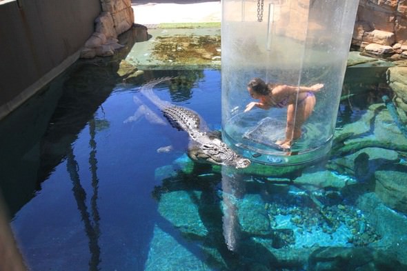 Adrenalin tutkunlarının son gözdesi ‘Ölüm Kafesi’