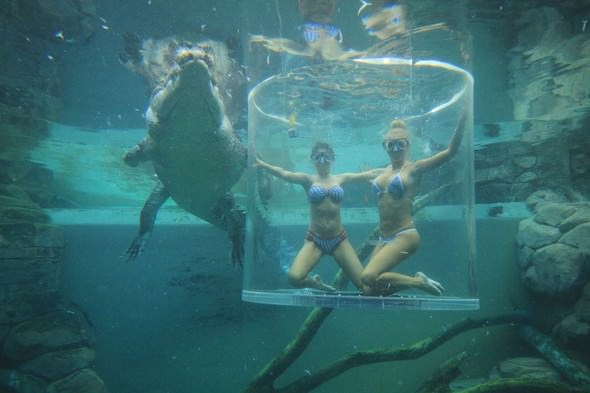 Adrenalin tutkunlarının son gözdesi ‘Ölüm Kafesi’