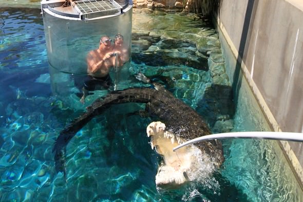 Adrenalin tutkunlarının son gözdesi ‘Ölüm Kafesi’