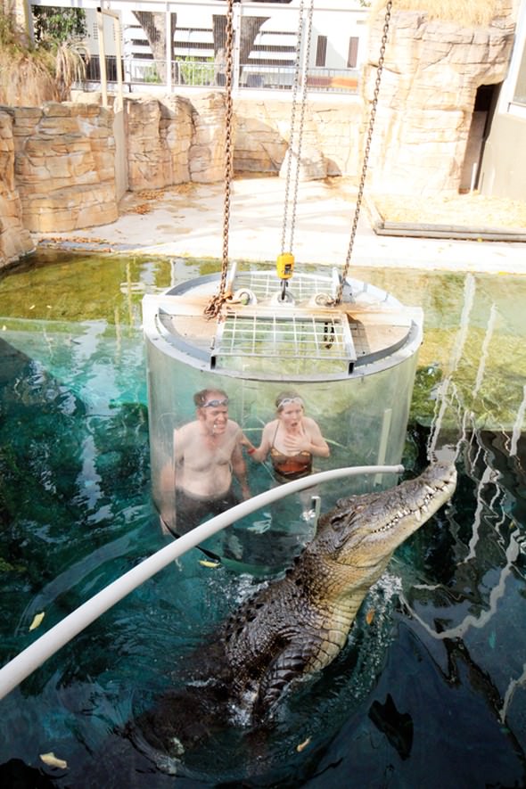 Adrenalin tutkunlarının son gözdesi ‘Ölüm Kafesi’