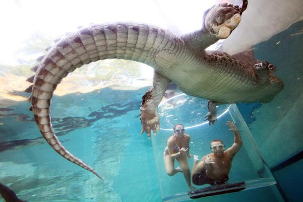 Adrenalin tutkunlarının son gözdesi ‘Ölüm Kafesi’