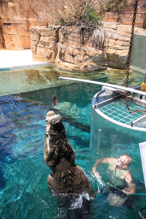 Adrenalin tutkunlarının son gözdesi ‘Ölüm Kafesi’