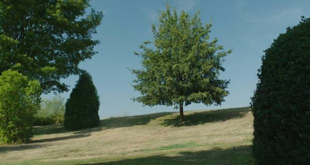 Filmlerin ünlü sahnelerinin gerçek görüntüleri