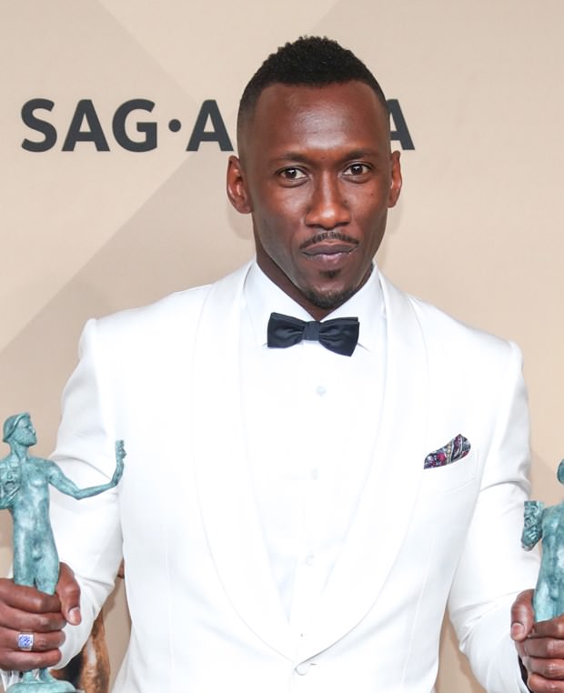 2017 SAG Ödülleri sahiplerini buldu