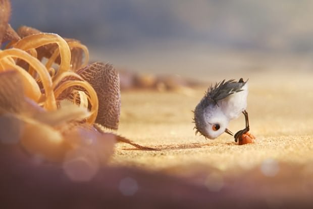 2017 Oscar Ödülleri sahiplerini buldu 