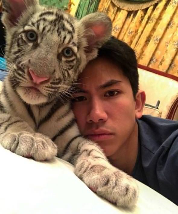 Kadınlar onunla evlenmek için can atıyor!