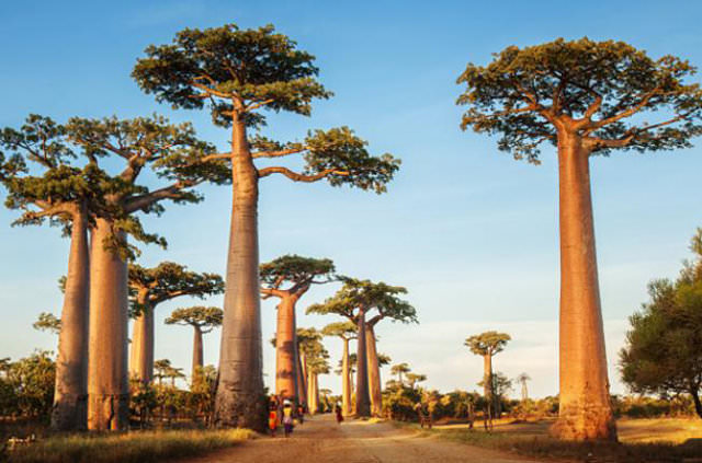 2017'de gidilmesi gereken yerler