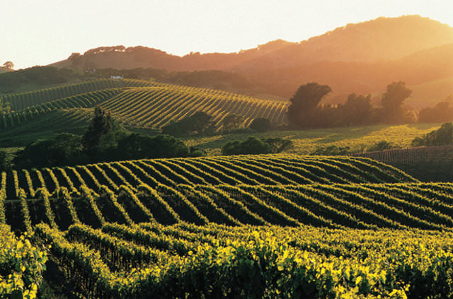 2017'de gidilmesi gereken yerler