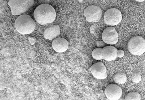 Cassini Uzay Aracı dünyayı görüntüledi! - Google Cassini Uzay Aracını Doodle yaptı