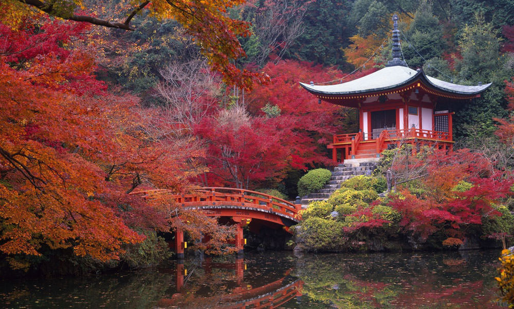 2017'nin en popüler tatil rotaları 