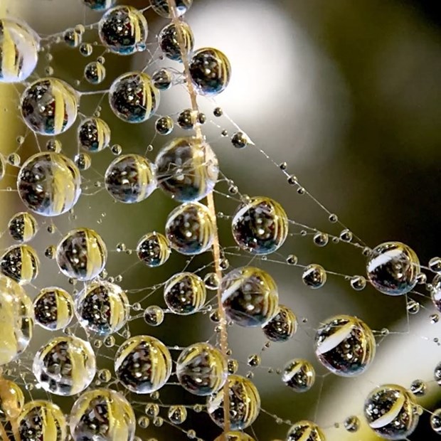 Apple'dan Instagram atağı