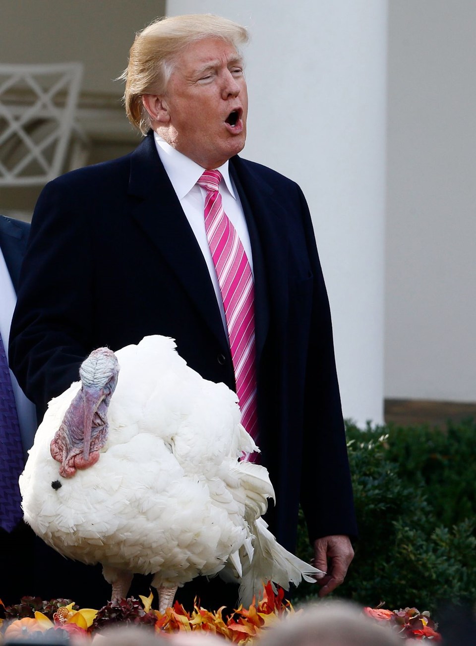 Trump iki hindi bağışladı