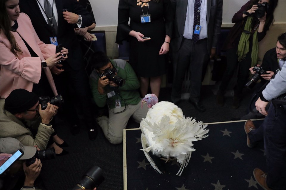 Trump iki hindi bağışladı