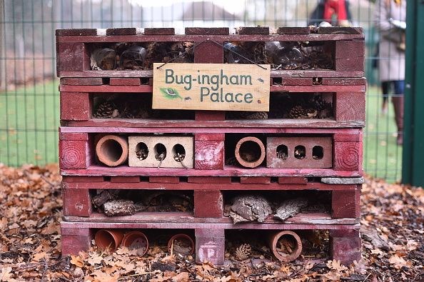 Kate Middleton'ın çizmeleri 10 yıldır ayağında!