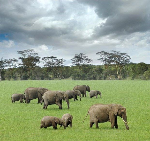 Sömestr tatilinde gidebileceğiniz en güzel 50 yer