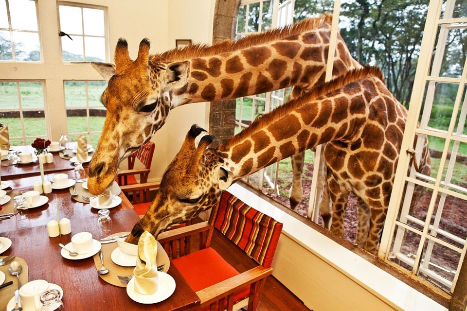 Sıradışı tatil adresleri