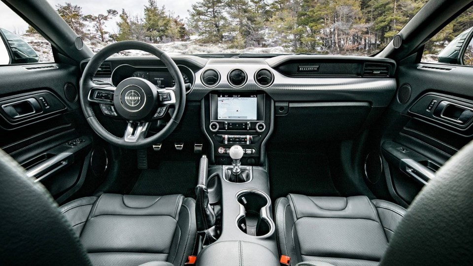 Köpek balığı Cenevre'de