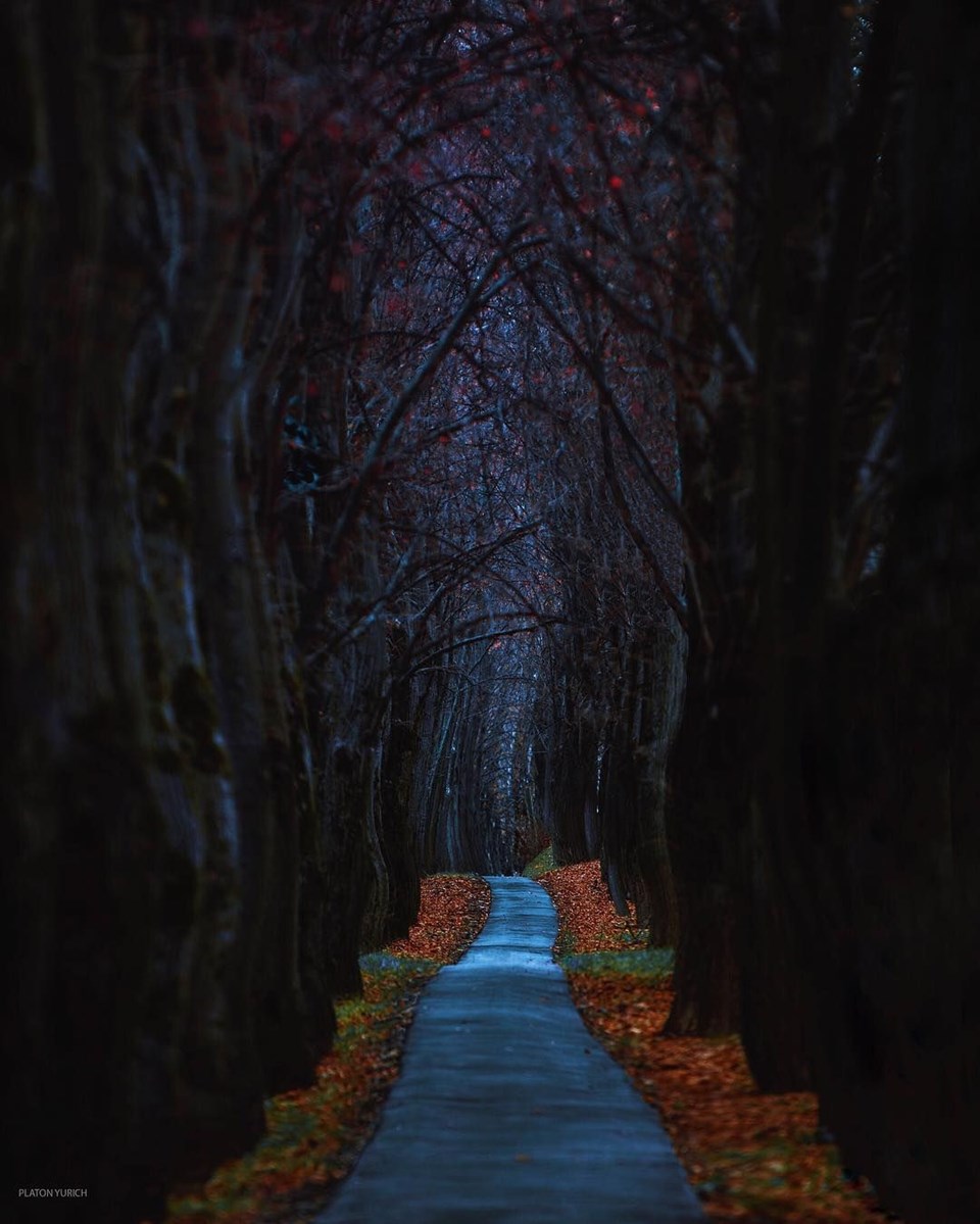 Rus fotoğrafçıdan rüya ile gerçeği birleştiren fotoğraflar