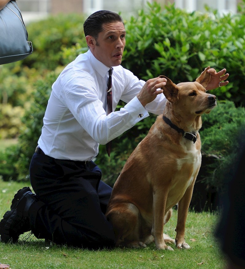 İkon Olma Kılavuzu: Tom Hardy