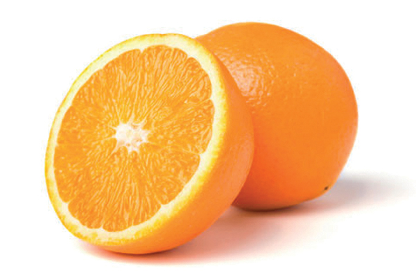 Gebze'de bir koku üssü