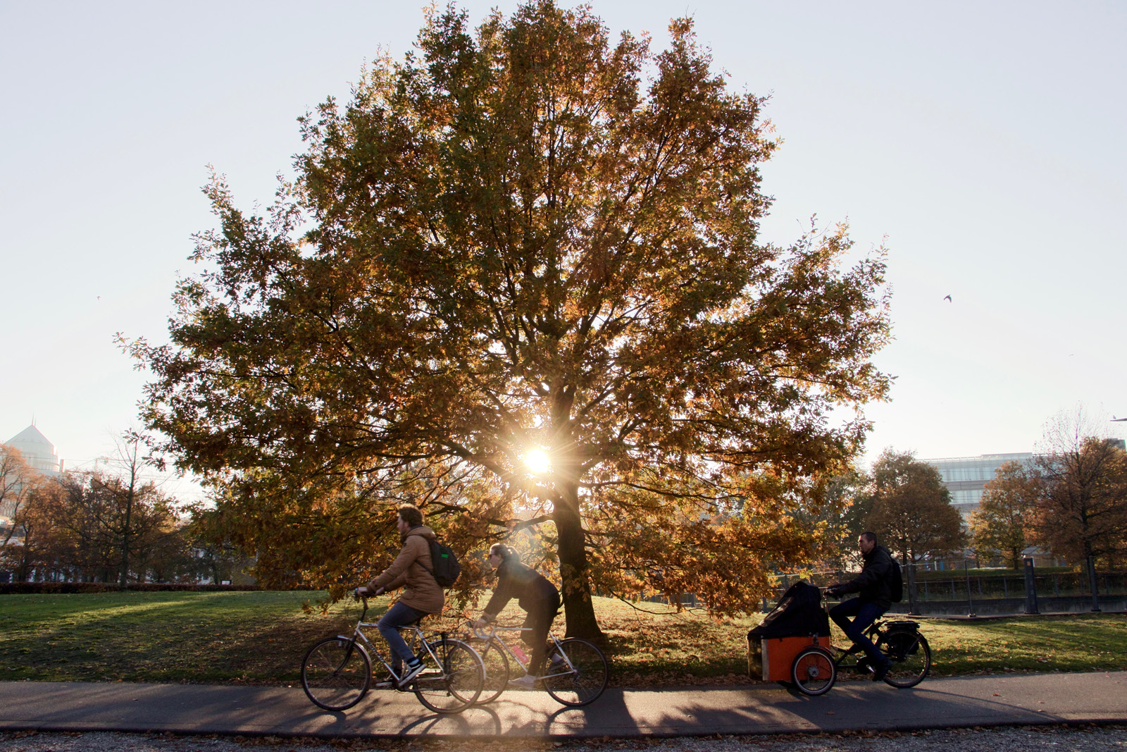 Bisikletler diyarı: Hollanda