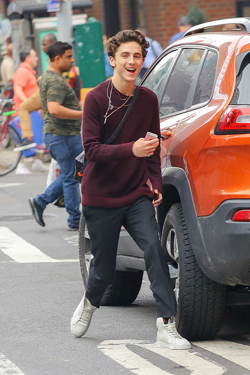 Wes Anderson'un yıldızlar takımı