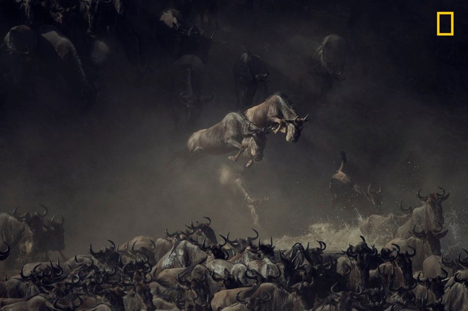 2018 National Geographic Fotoğraf Yarışması'nın kazananları belli oldu