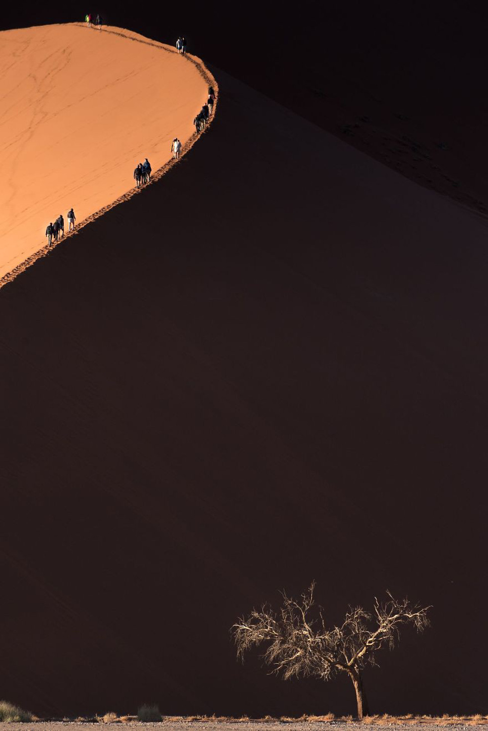 2018 National Geographic Fotoğraf Yarışması'nın kazananları belli oldu