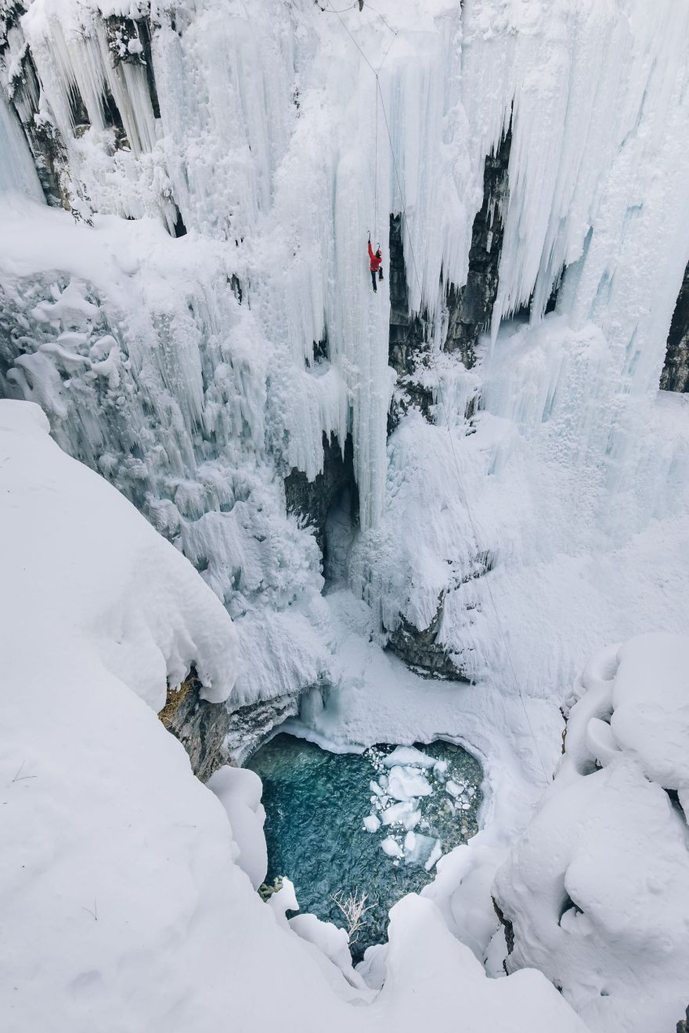 2018 National Geographic Fotoğraf Yarışması'nın kazananları belli oldu