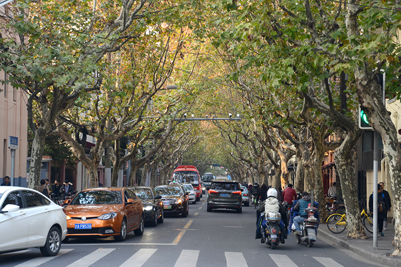 Esquire Best of 2018 Seyahat: Haz Almak